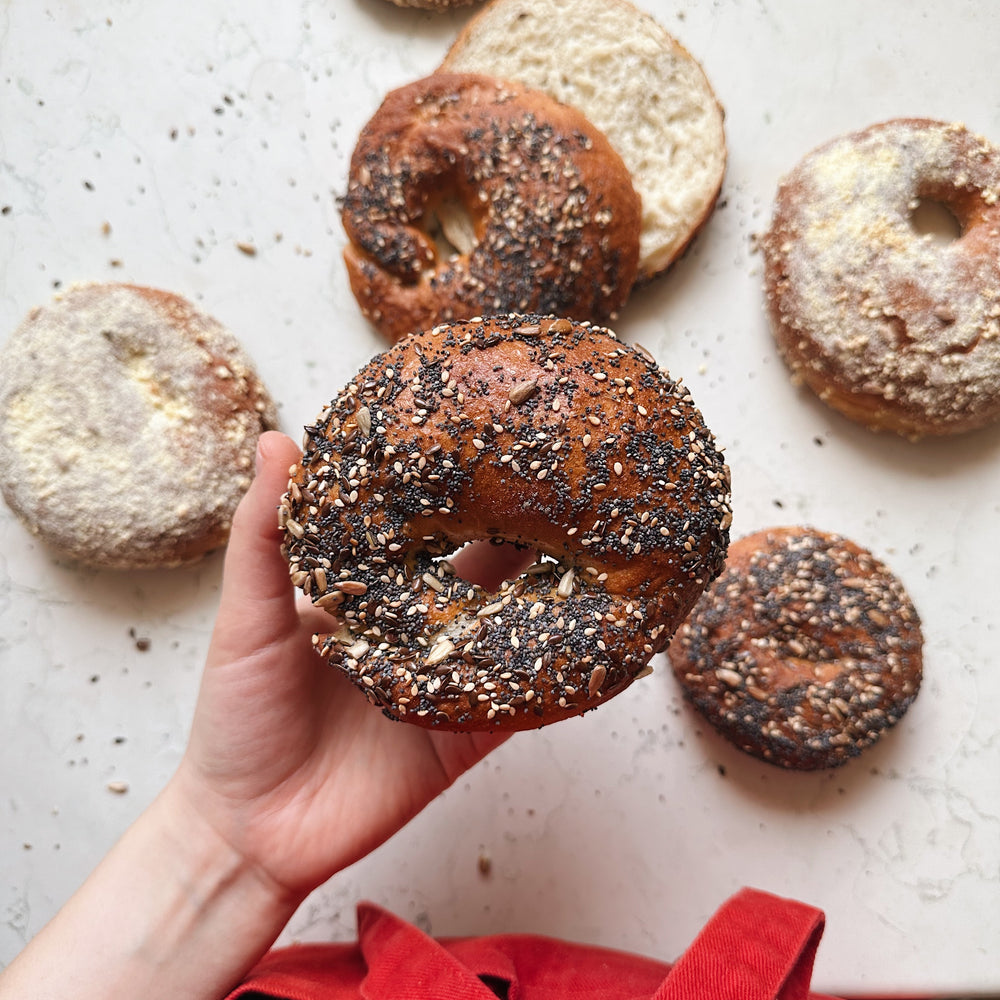 NEW YORK STYLE BAGELS