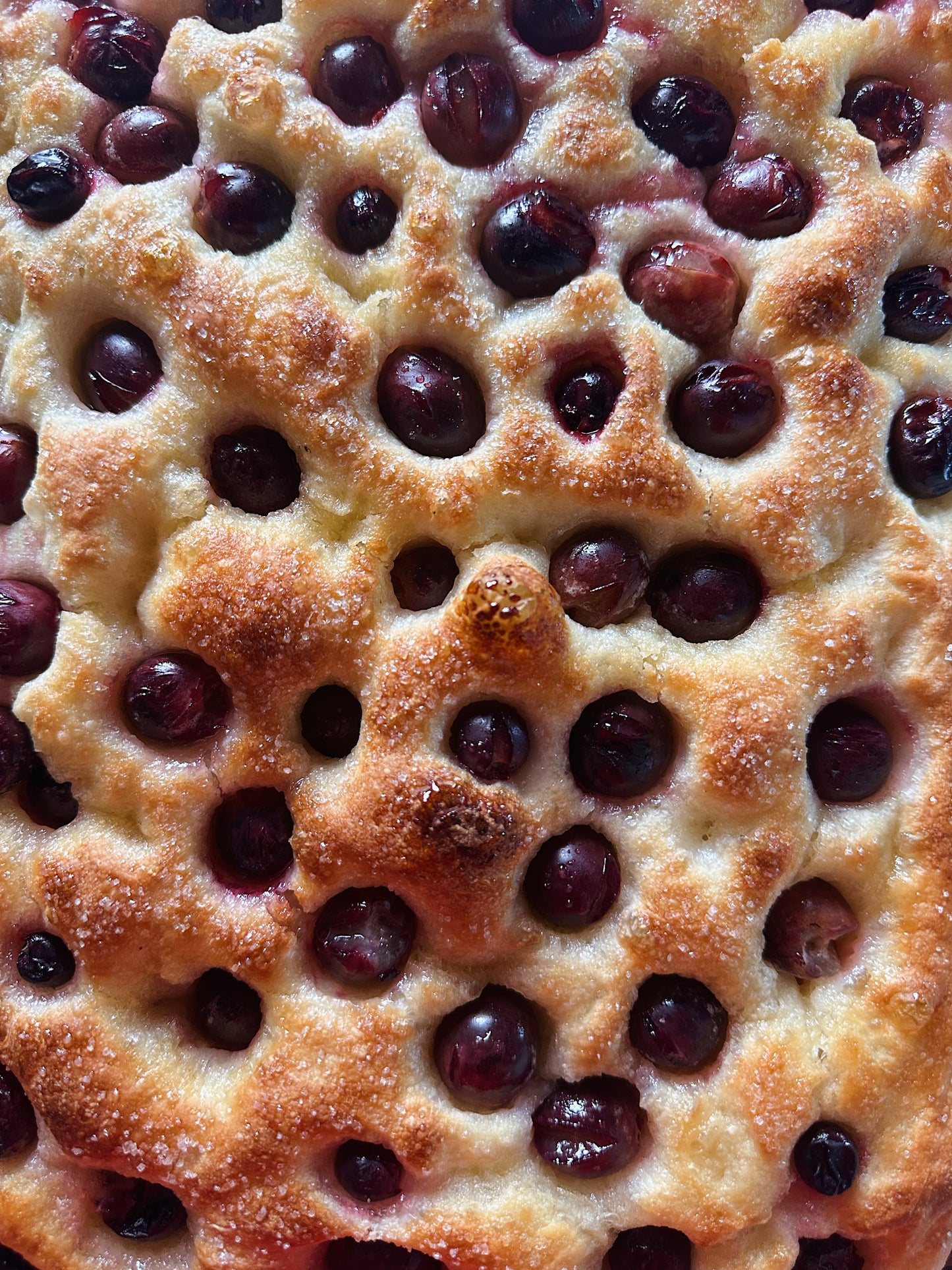 FOCACCIA ALL'UVA